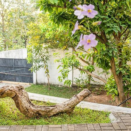 Battaramulla Boutique Villa Sri Jayewardenepura Kotte Εξωτερικό φωτογραφία
