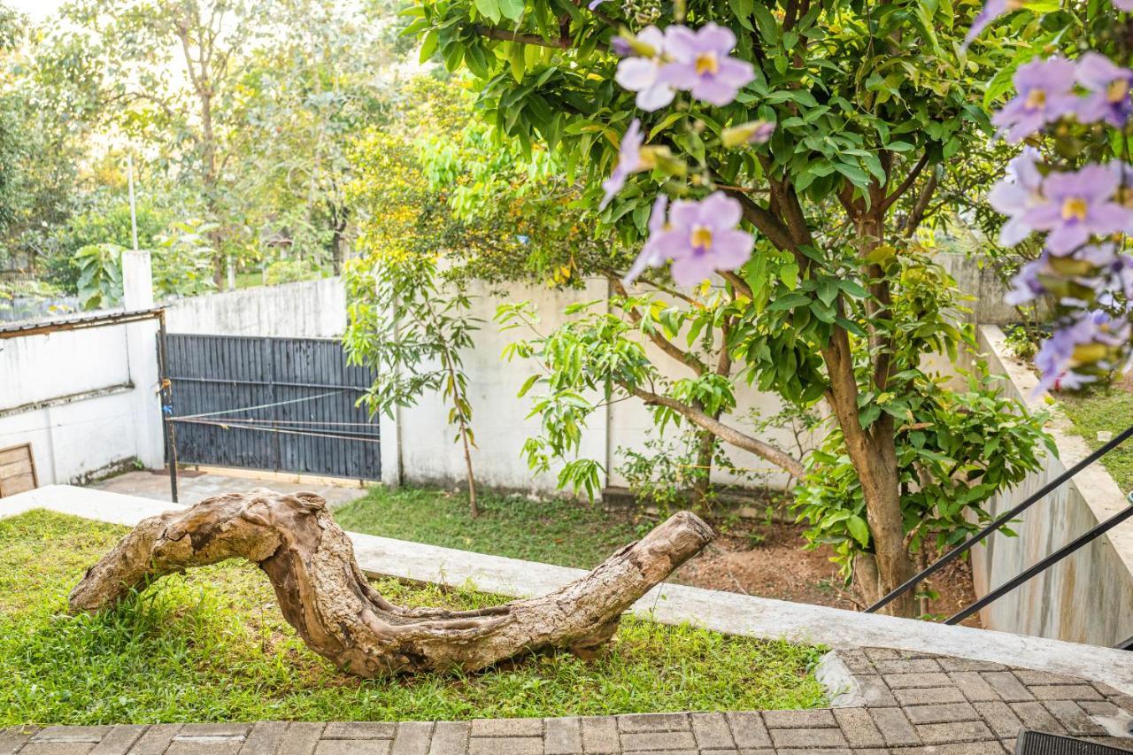 Battaramulla Boutique Villa Sri Jayewardenepura Kotte Εξωτερικό φωτογραφία